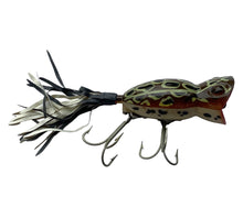 Load image into Gallery viewer, Right Facing View of 5/8 oz  HULA POPPER Fishing Lure in BROWN FROG WHITE BELLY. Available at Toad Tackle.
