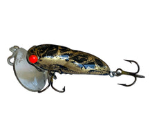 Load image into Gallery viewer, Left Facing View of FRED ARBOGAST HOCUS LOCUST Fishing Lure • 205 BLACK GOLD

