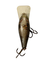 Lataa kuva Galleria-katseluun, Belly View of REBEL LURES SUPER TEENY R Fishing Lure in NATURALIZED BASS
