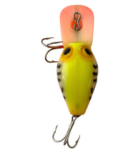 Cargar imagen en el visor de la galería, Top View of STORM LURES WEE WART Fishing Lure in BONE CRAWDAD (Crayfish, Craw). For Sale at Toad Tackle.
