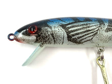Load image into Gallery viewer, Cotton Cordell REDFIN Saltwater Stout Saltwater Fishing Lure • Color # 1021
