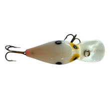 Charger l&#39;image dans la galerie, Top View of STORM LURES WIGGLE WART Fishing Lure in BONE
