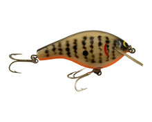 Load image into Gallery viewer, Right Facing Photo of BAGLEY&#39;S BALSA B 3 Fishing Lure with All Brass Hardware in CRAYFISH on NATURAL BALSA

