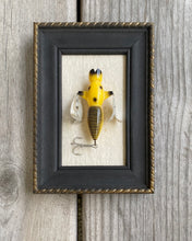 Load image into Gallery viewer, Vintage CORONADO Dragonfly Fishing Lure Factory Display! • BLACK &amp; YELLOW
