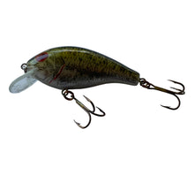 Load image into Gallery viewer, Left Facing View of REBEL LURES SHALLOW R SHALLOW Fishing Lure in NATURISTIC BASS
