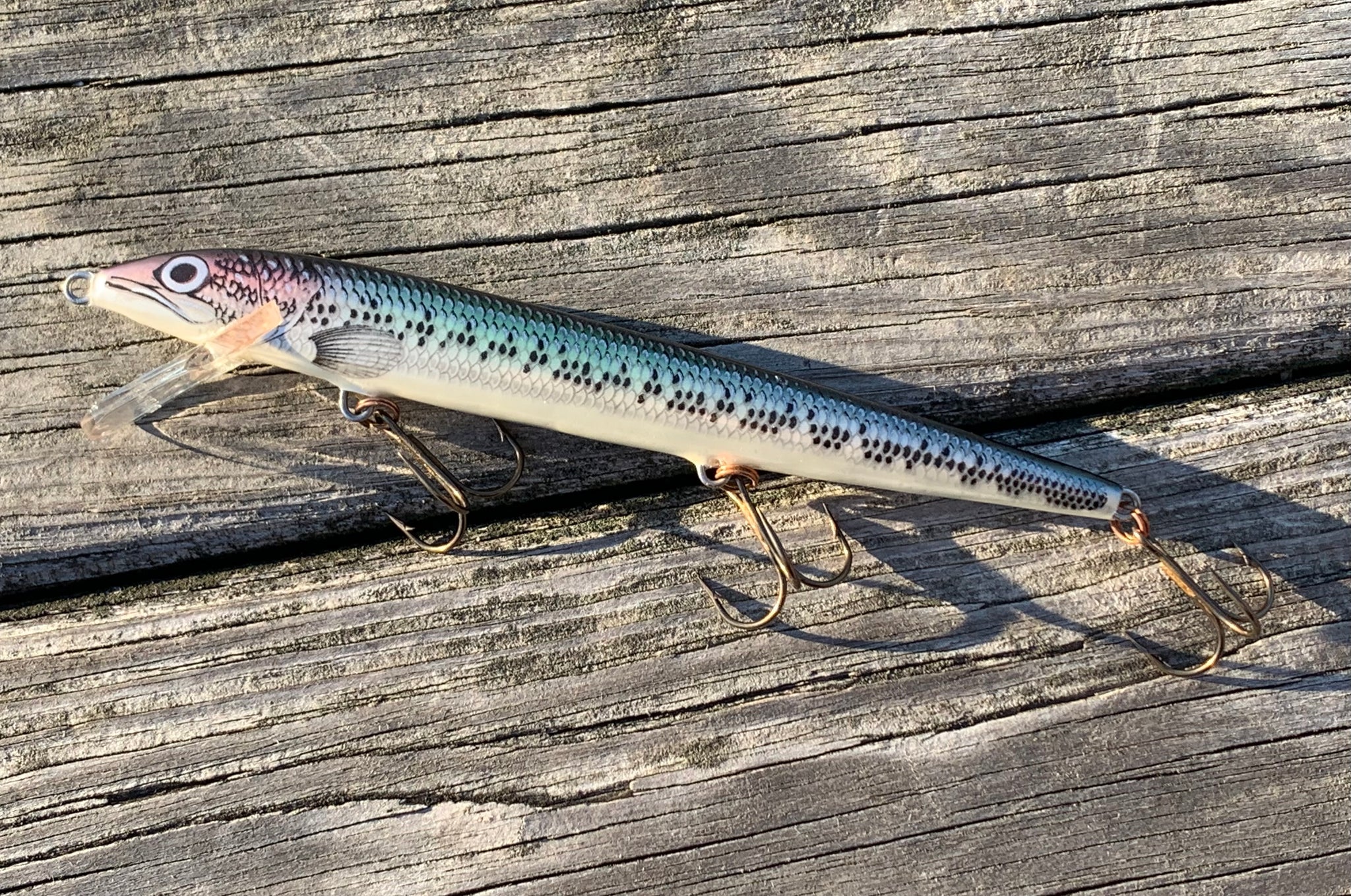 f18 fishing lure Vintage RAPALA • SBB SILVER BABY BASS Deep Sea Jigs Daiwa 19 Castizm Feeder Rod Number of Pieces:Tele-5 this lure can be