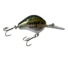 Charger l&#39;image dans la galerie, Right Facing View of BAGLEY BAIT COMPANY DB-1 Diving B 1 Fishing Lure in LITTLE BASS on WHITE. Available at Toad Tackle!
