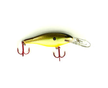 Load image into Gallery viewer, RAPALA SR-7 SHAD RAP Fishing Lure • SPECIAL EDITION • TENNESSEE SHAD
