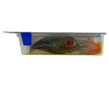 Lade das Bild in den Galerie-Viewer, Side Package View of STORM LURES MAG WART Fishing Lure in PHANTOM GREEN CRAYFISH
