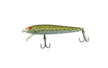 Load image into Gallery viewer, Left Facing View of REBEL PRADCO FAMOUS MINNOW FLOATER Fishing Lure
