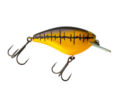 Right Facing View of Discontinued JACKALL #14 BLING 55 Fishing Lure in MS PUNK LINE. For Sale at Toad Tackle.