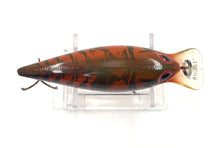 Charger l&#39;image dans la galerie, Top View of STORM LURES SHORT WART Fishing Lure in NATURISTIC BROWN CRAYFISH
