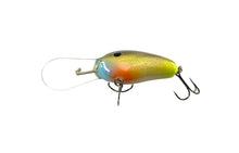 Load image into Gallery viewer, Mango Enterprises • C-Flash Crankbaits 44 MAG Fishing Lure • 59 BLUEGILL
