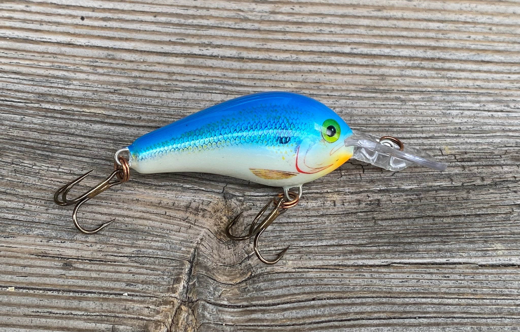 SPECIAL • RAPALA Size 5 FAT RAP Fishing Lure • BLUE SHAD – Toad Tackle