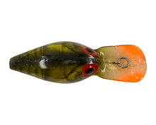 Load image into Gallery viewer, Top or Back View of Pre- Rapala STORM LURES WIGGLE WART Fishing Lure in V86 PHANTOM GREEN CRAYFISH w/ CLEAR LIP
