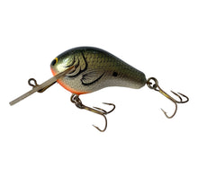 Load image into Gallery viewer, Left Facing View of BAGLEY BAIT COMPANY DIVING BITTY B Fishing Lure in TRUE LIFE SHAD. Available at Toad Tackle.
