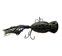Load image into Gallery viewer, Top View of 5/8 oz  HULA POPPER Fishing Lure in BROWN FROG WHITE BELLY. Available at Toad Tackle.
