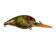 Load image into Gallery viewer, Right Facing View of Pre- Rapala STORM LURES WIGGLE WART Fishing Lure in V86 PHANTOM GREEN CRAYFISH w/ CLEAR LIP
