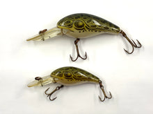 Load image into Gallery viewer, Pair of REBEL LURES LITTLE SUSPEND R &amp; SUSPEND R Fishing Lures in FROG Pattern
