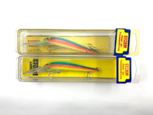 Load image into Gallery viewer, Lot of 2 STORM DJ68 Deep Jr Thunderstick Fishing Lures — FLUORESCENT RAINBOW
