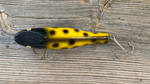 Load image into Gallery viewer, Back View of Marathon Bait Company ROCK &amp; ROLL Topwater Fishing Lure in BLACK &amp; YELLOW
