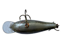 Load image into Gallery viewer, Belly View of REBEL LURES SHALLOW R SHALLOW Fishing Lure in NATURISTIC BASS
