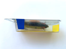 Load image into Gallery viewer, Top or Back View of Storm Lures RATTLIN&#39; THINFIN Fishing Lure in TENNESSEE SHAD
