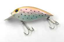Load image into Gallery viewer, STORM LURES ThinFin FFV-41 FATSO Fishing Lure — TROUT
