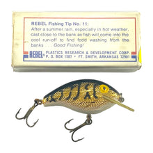 Load image into Gallery viewer, Right View with Box Bottom of REBEL LURES Square Lip WEE R SHALLOW Fishing Lure in GOLD/BLACK BACK w/ STRIPES
