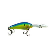 Charger l&#39;image dans la galerie, Toad Tackle • ToadTackle.net • ToadTackle.co • ToadTackle.us • Antique Vintage Discontinued Fishing Lures •  RAPALA Down Deep Rattlin Fat Rap 7 Fishing Lure • Parrot Special
