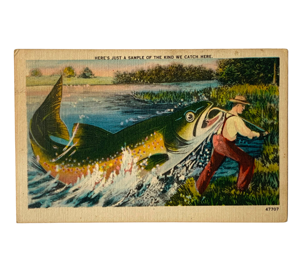 Front View of TROUT CATCH • ANTIQUE TRAVEL FISHING POSTCARD at Toad Tackle