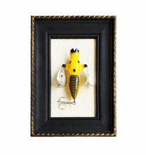 Load image into Gallery viewer, Vintage CORONADO Dragonfly Fishing Lure Factory Display! • BLACK &amp; YELLOW
