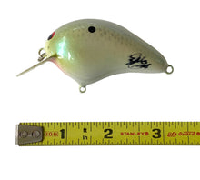 Load image into Gallery viewer, Handmade Bass Lures • BRIAN&#39;S BEES CRANKBAITS FAT BODY SQUARE BILL Fishing Lure • #1 SILVER PEARL
