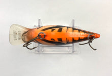 Cargar imagen en el visor de la galería, Belly View of STORM LURES SHORT WART Fishing Lure in NATURISTIC BROWN CRAYFISH
