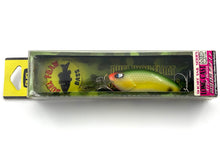 Load image into Gallery viewer, Toad Tackle • ToadTackle.net • ToadTackle.co • ToadTackle.us • DUEL FOAM BASS Long Cast Fishing Lure • Short Tail Series • Long Cast NTDF Version • Mid Depth • F838-PAOG
