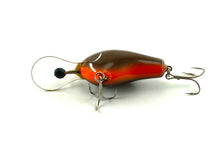 Load image into Gallery viewer, Belly View of BAGLEY Divin&#39; B II or DB-2 Fishing Lure in BLACK on BROWN. For Sale Online at Toad Tackle!
