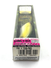 Load image into Gallery viewer, Toad Tackle • ToadTackle.net • ToadTackle.co • ToadTackle.us • DUEL FOAM BASS Long Cast Fishing Lure • Short Tail Series • Long Cast NTDF Version • Mid Depth • F838-PAOG
