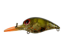 Load image into Gallery viewer, Left Facing View of Pre- Rapala STORM LURES WIGGLE WART Fishing Lure in V86 PHANTOM GREEN CRAYFISH w/ CLEAR LIP
