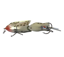 Load image into Gallery viewer, Belly View of  BLACK DOG BAIT COMPANY SHELLCRACKER Fishing Lure in CRAPPIE
