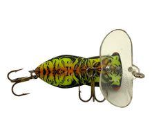 Load image into Gallery viewer, Belly View of ARBOGAST HOCUS LOCUST Fishing Lure • 210 FIRE LOCUST
