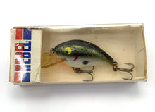 Load image into Gallery viewer, REBEL &quot;R&quot; Series Teeny Wee-R Vintage Fishing Lure • TENNESSEE SHAD
