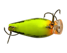 Load image into Gallery viewer, Belly View of STORM LURES Size 7 Subwart Fishing Lure in BUMBLE BEE

