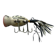 Load image into Gallery viewer, Belly Stamp View of 5/8 oz  HULA POPPER Fishing Lure in BROWN FROG WHITE BELLY. Available at Toad Tackle.
