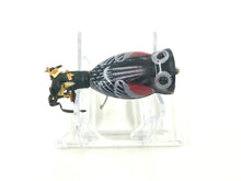Load image into Gallery viewer, Top View of Fred Arbogast 1/4 oz HULA POPPER Fishing Lure with Original Box in Blackbird
