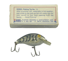 Load image into Gallery viewer, Right View with Box Bottom of REBEL LURES Square Lip WEE R SHALLOW Fishing Lure in SILVER/BLACK BACK w/ STRIPES
