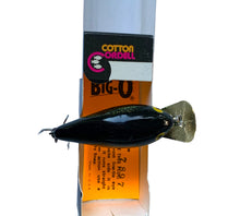 Charger l&#39;image dans la galerie, Top View of COTTON CORDELL 7800 Series BIG O Fishing Lure in METALLIC BASS. Collectible Lures For Sale Online at Toad Tackle.
