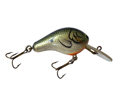 Right Facing View of BAGLEY BAIT COMPANY DIVING BITTY B Fishing Lure in TRUE LIFE SHAD. Available at Toad Tackle.