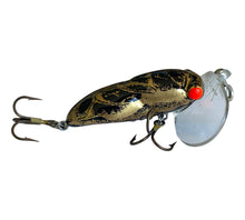 Load image into Gallery viewer, Right Facing View of FRED ARBOGAST HOCUS LOCUST Fishing Lure • 205 BLACK GOLD
