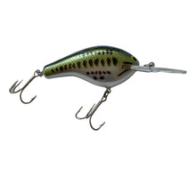 Load image into Gallery viewer, Right Facing View of BAGLEY BAIT COMPANY Diving B 3 Fishing Lure in LITTLE BASS on WHITE. Available at Toad Tackle.
