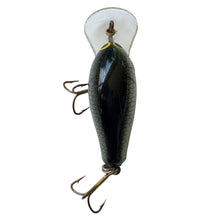 Cargar imagen en el visor de la galería, Top View of BAGLEY BAIT COMPANY DIVING BITTY B Fishing Lure in TRUE LIFE SHAD. Available at Toad Tackle.
